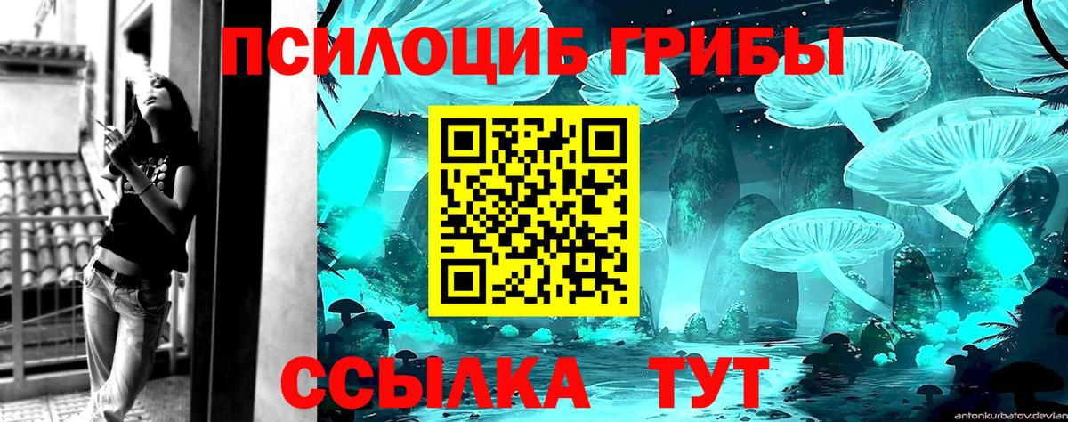 Псилоцибиновые грибы прущие грибы Камень-на-Оби